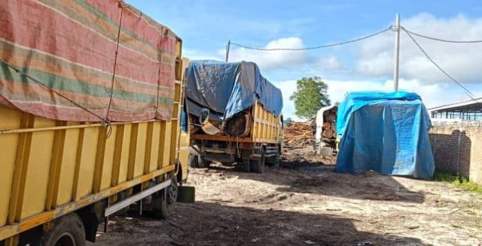 polhut_sidikalang_amankan_lima_truk_pengangkut_kayu_tanpa_dokumen_lengkap