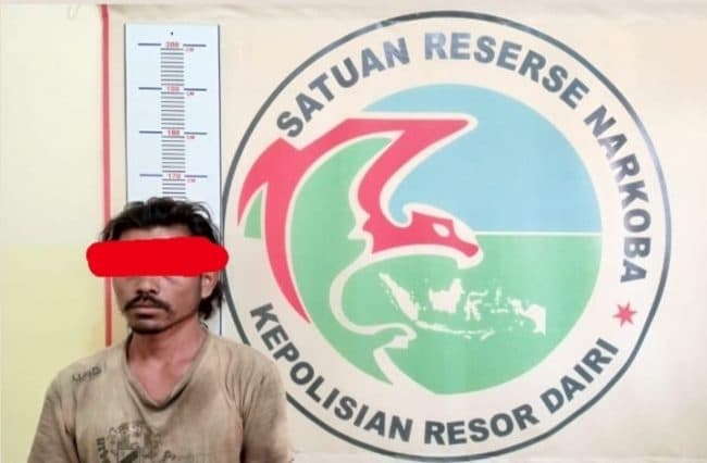 polisi_amankan_pengedar_ganja_dari_perladangan_warga_di_dairi