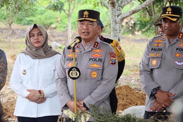 polisi_kembali_temukan_ladang_ganja_di_madina