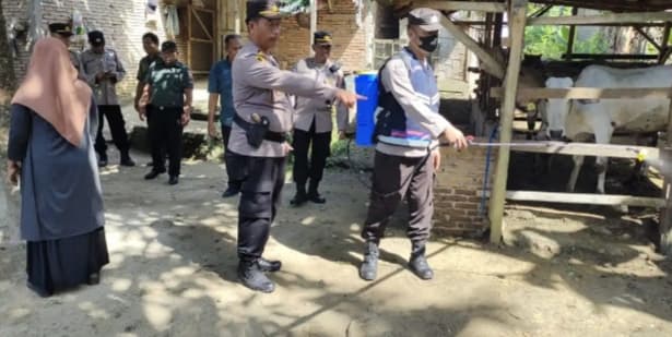 polisi_sambangi_kelompok_ternak_di_tebing_tinggi_terkait_pmk