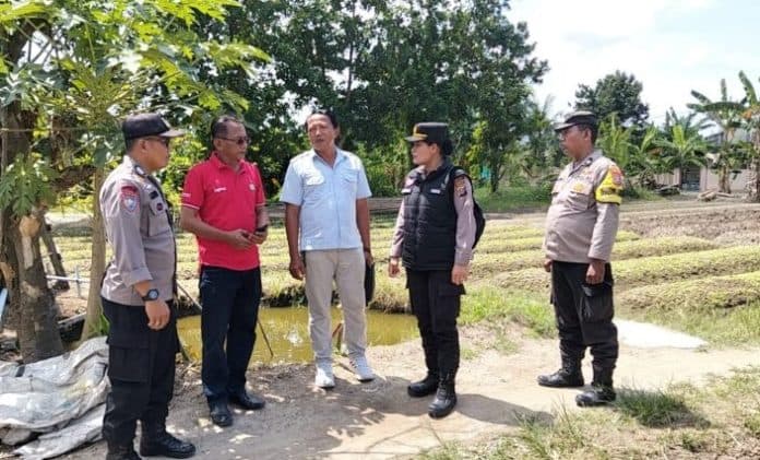 polres_pelabuhan_belawan_cek_lahan_pertanian_mentimun_cabai_sawi_dan_tebu