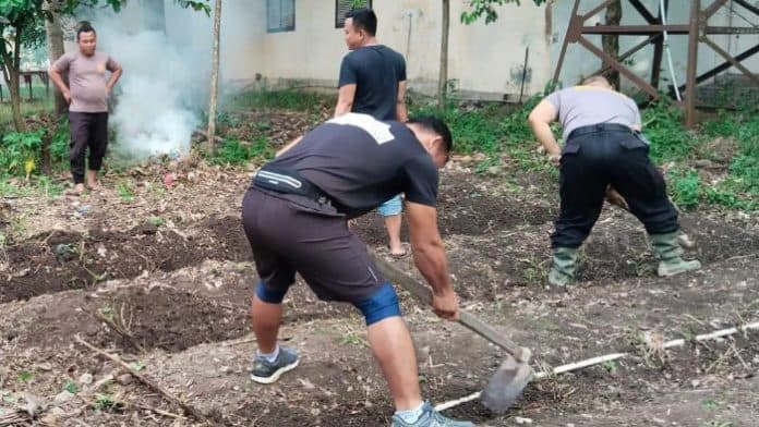 polres_samosir_fokus_penguatan_ketahanan_pangan