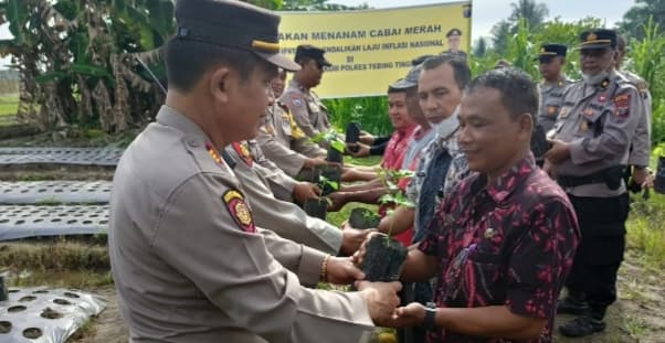 polres_tebing_tinggi_serahkan_10000_bibit_cabai_merah_kepada_gapoktan_maju_bersama