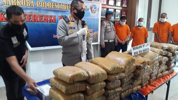 polrestabes_medan_amankan_240_kg_ganja_dan_4_tersangka
