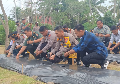 polsek_di_asahan_tanam_cabai_di_pekarangan_dukung_ketahanan_pangan