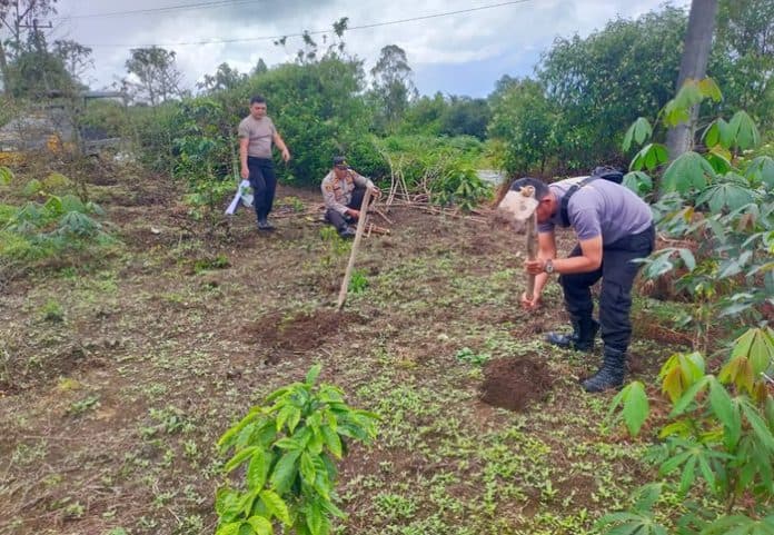 polsek_pangururan_bantu_warga_persiapkan_lahan_untuk_menanam_ubi_kayu