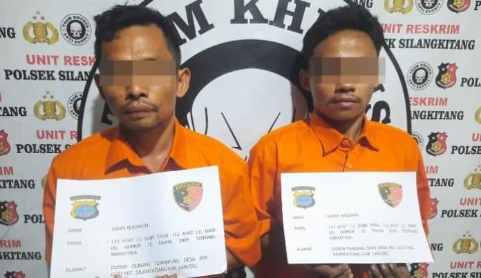 polsek_silangkitang_amankan_2_penyalahguna_narkoba_di_desa_aek_goti