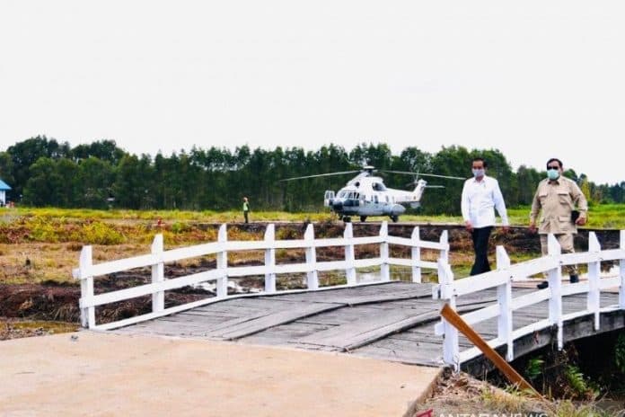 presiden_tinjau_lumbung_pangan_kalteng_lahan_fungsional_capai_5840_h