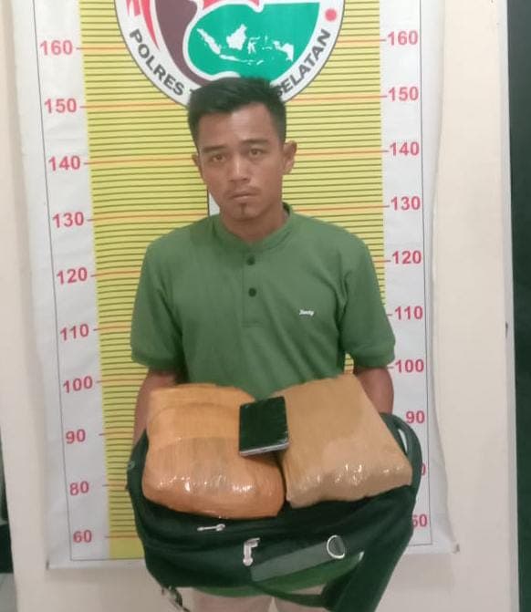 pria_warga_garoga_tapsel_ini_miliki_2_bal_ganja