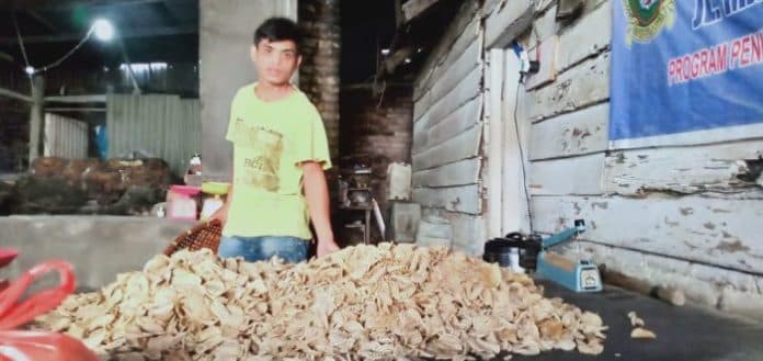 produksi_kuping_gajah_rambung_merah_kembali_bergairah_sambut_nataru