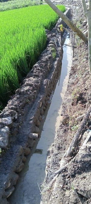 proyek_drainase_dinas_perkim_deli_serdang_asal_letak_dan_amburadul