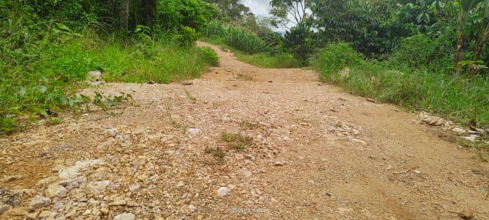 proyek_fisik_dd_2022_terkesan_asal_dikerjakan_camat_lae_parira_surati_kades_pandiangan