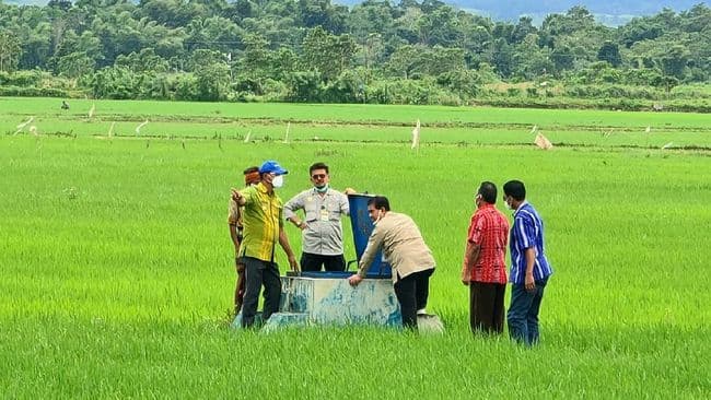 proyek_food_estate_gagal_dan_ditemukan_banyak_data_palsu_dpr_bentuk_pansus
