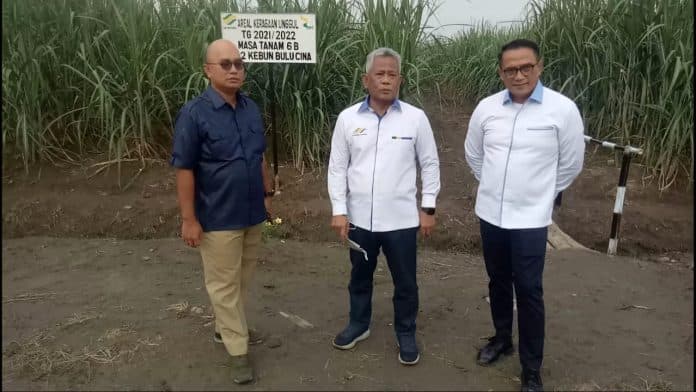 ptpn2_bisa_jadi_tonggak_kebangkitan_gula_di_sumut
