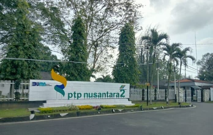 ptpn2_melebur_menjadi_subholding_supportingco