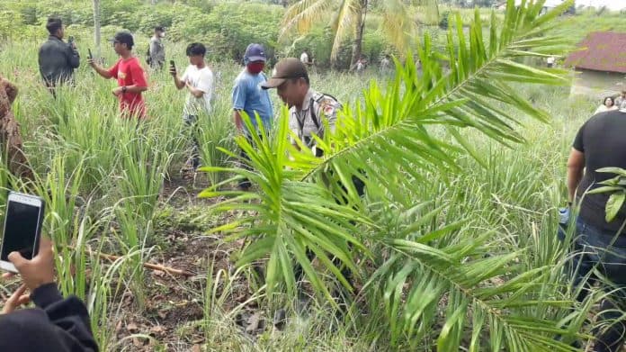 ptpn_iii_kebun_bangun_diminta_hentikan_aktivitas_di_lahan_yang_berpotensi_konflik