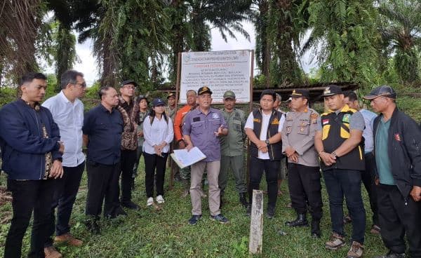 ptpn_iv_regional_ii_panen_perdana_kebun_bah_birung_ulu_di_lahan_eks_hutan
