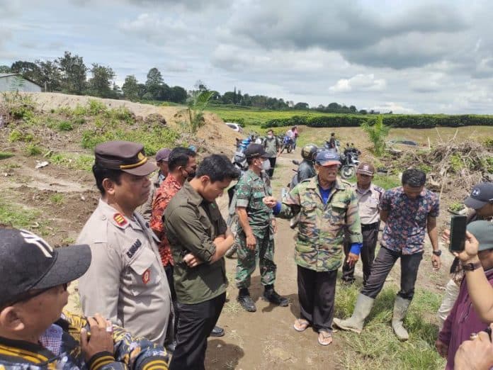 ptpn_lv_lecehkan_larangan_bupati_simalungun_kebun_teh_sidamanik_mulai_ditanami_sawit