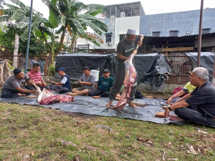 pud_pasar_medan_sembelih_18_ekor_hewan_kurban