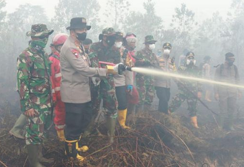 puluhan_hektar_kawasan_hutan_di_2_daerah_di_riau_terbakar