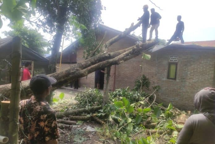 puluhan_rumah_porak_poranda_diterjang_puting_beliung