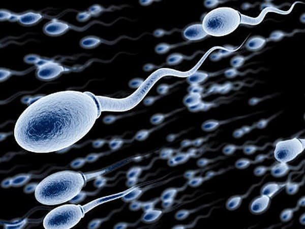 punya_anak_600_orang_seorang_ayah_diminta_berhenti_donorkan_sperma