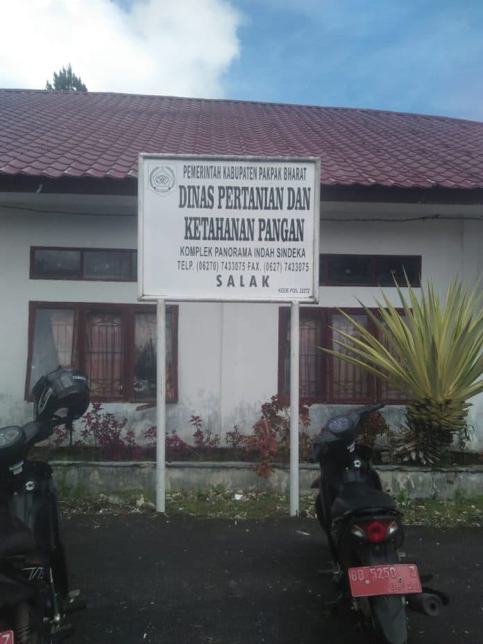 pupuk_subsidi_langka_petani_di_pakpak_bharat_mengeluh