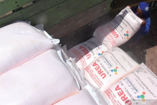 pupuk_subsidi_sumut_ajukan_penambahan_alokasi_55_ribu_ton