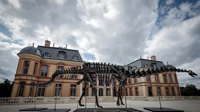 rangka_apatosaurus_sepanjang_22_meter_terjual_rp1009_miliar_di_prancis