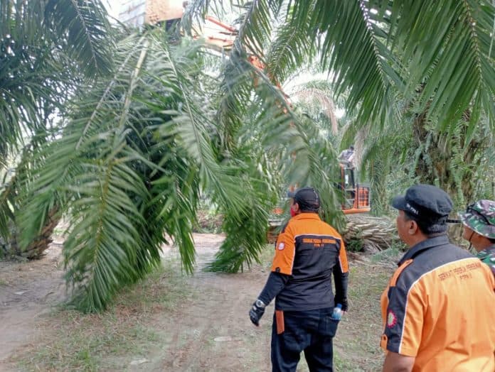 ratusan_aparat_gabungan_amankan_okupasi_di_kebun_bulu_china_ptpn_2