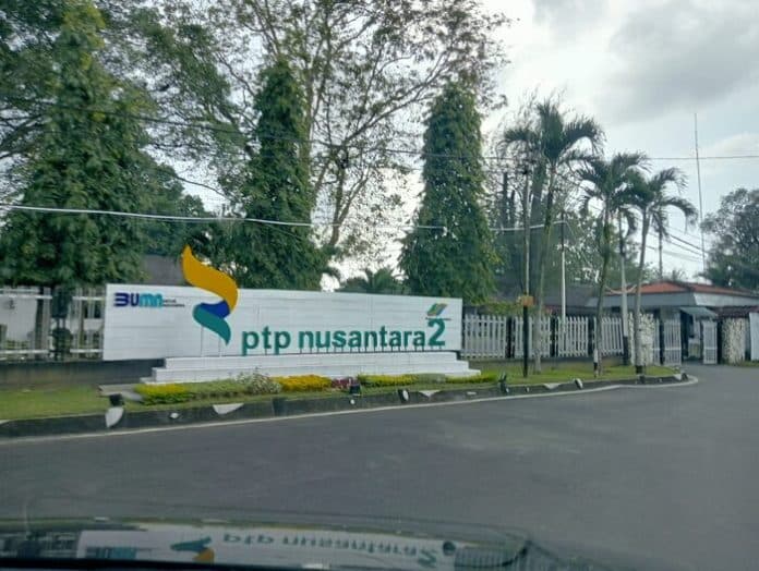 resmi_gabungkan_13_perusahaan_ptpn_tetapkan_komisaris_dan_direksi_baru
