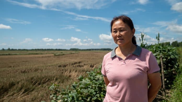 ribuan_hektar_sawah_di_tiongkok_gagal_panen_akibat_pemanasan_global