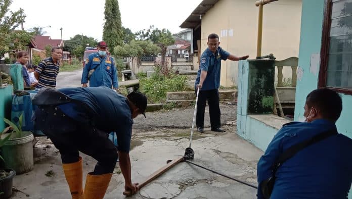 rumah_di_siantar_sering_dimasuki_ular_damkar_himbau_warga_jaga_kebersihan