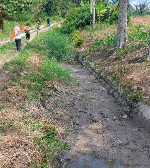 saluran_irigasi_rusak_100_hektar_sawah_di_simalungun_terancam