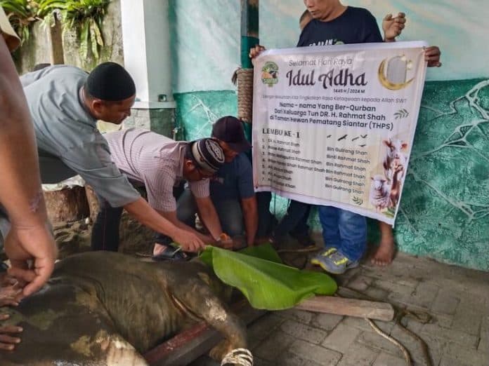 salurkan_18_hewan_kurban_rahmat_shah_ajak_masyarakat_saling_berbagi