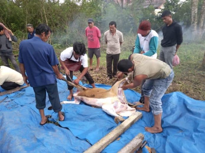 sambut_bulan_suci_ramadhan_begini_tradisi_warga_muslim_di_dairi