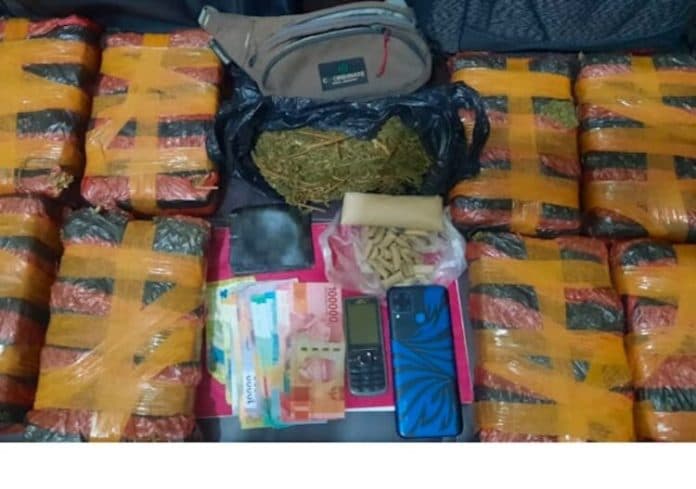 sat_narkoba_polres_labuhanbatu_ringkus_pemilik_75_kg_ganja