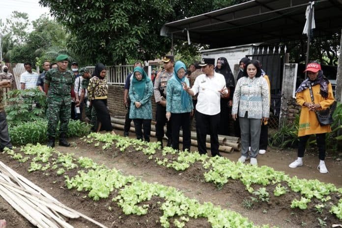 satgas_tebing_tinggi_kendalikan_infllasi_dan_pencegahan_stunting_dengan_berkebun