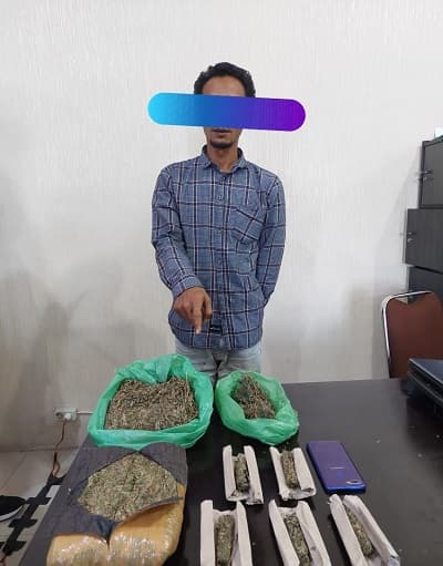 satres_narkoba_polres_karo_amankan_bandar_ganja_di_desa_tanjung_merawa