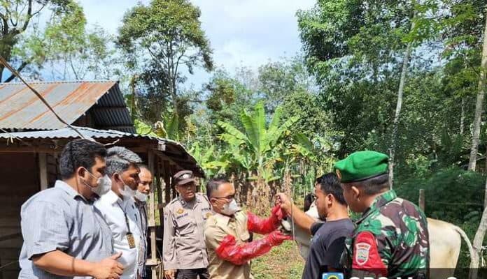 sebelum_dipotong_polres_tapsel_cek_kesehatan_hewan_kurban