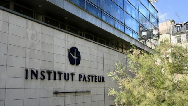 segera_hadir_alat_test_corona_ciptaan_senegal_harga_1_hasil_10_menit