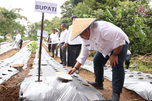 sejahterakan_petani_lewat_konsep_pertanian_terintegrasi_di_tapsel