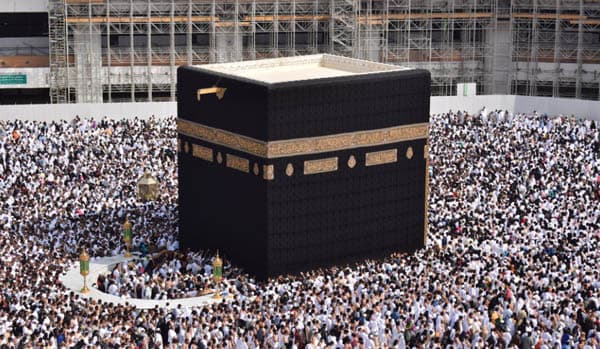 selama_haji_jemaah_diimbau_tidak_kontak_langsung_dengan_unta