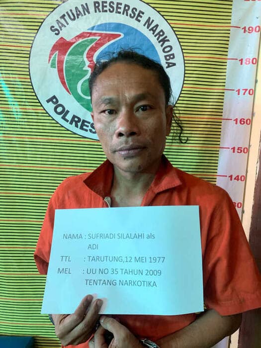 sengaja_tanam_ganja_depan_rumah_polres_samosir_tangkap_sufriadi_silalahi