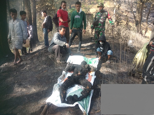 seorang_warga_tewas_terbakar_akibat_kebakaran_hutan_di_kecamatan_muara_taput