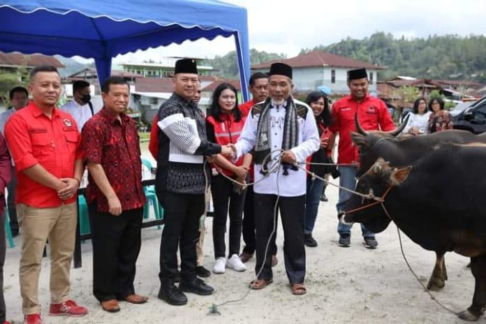 serahkan_hewan_kurban_ke_umat_islam_bupati_taput_semoga_kerukunan_umat_beragama_tetap_terjaga