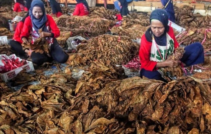 serikat_pekerja_rokok_ingatkan_ancaman_phk_akibat_regulasi_yang_memberatkan