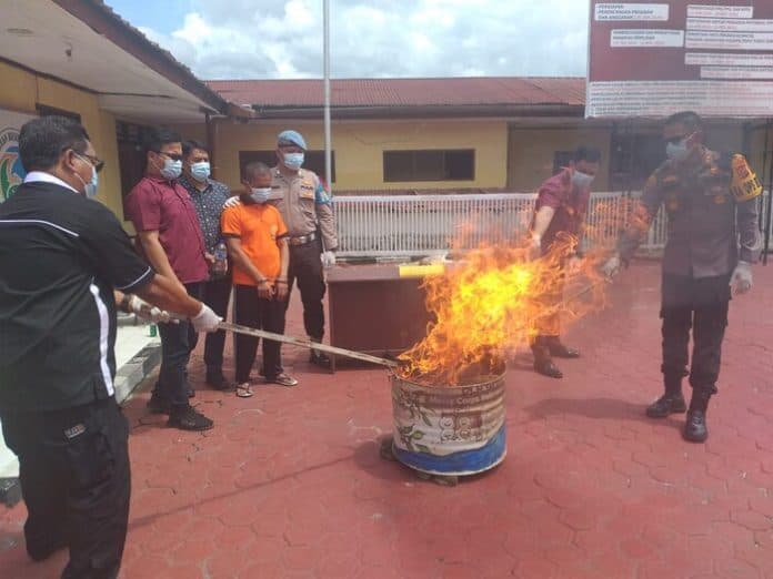 setelah_empat_bulan_polres_taput_bakar_ganja_2_kg