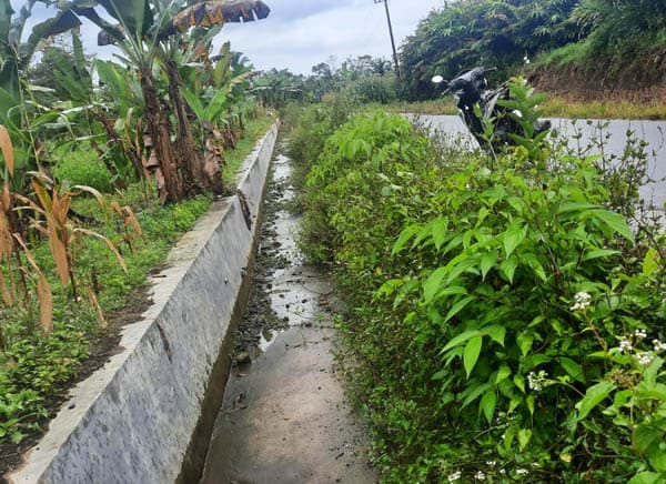 soal_saluran_irigasi_rusak_di_sigodang_barat_bpbd_simalungun_akan_koordinasi_ke_dinas_putr