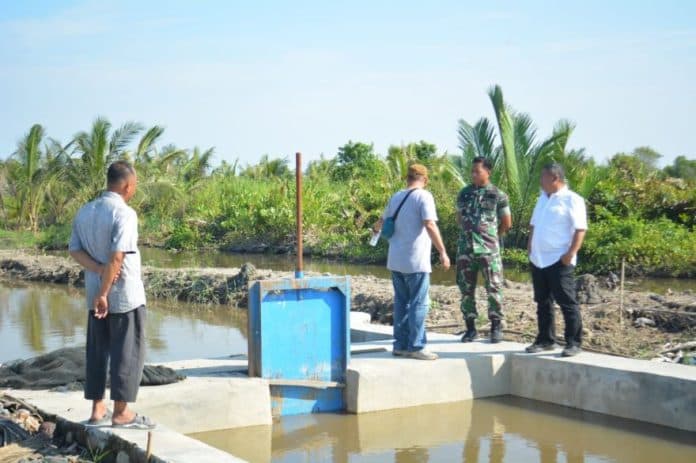 staf_kementan_dan_irjenad_tinjau_program_oplah_di_pantai_labu